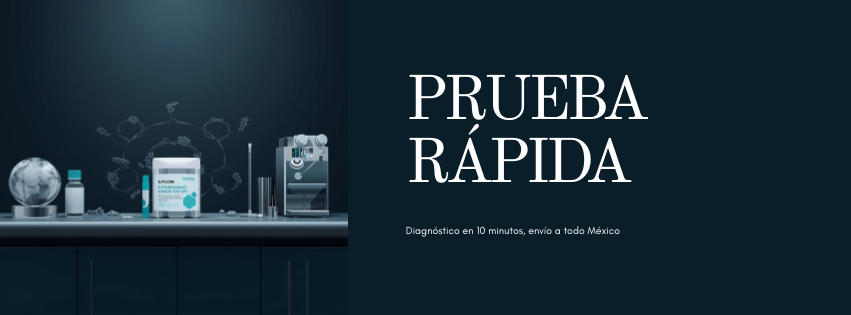 Prueba Rápida de Helicobacter Pylori: Diagnóstico en 10 Minutos