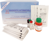 AccuDiag™ Ani-Glomerular Basement Membrane Antibody IFA Kit (on primate kidney sections)